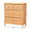 Baxton Studio Vaere Modern Bohemian Natural Brown Rattan and Mahogany Wood Storage Cabinet 233-13175-ZORO - alternate 8